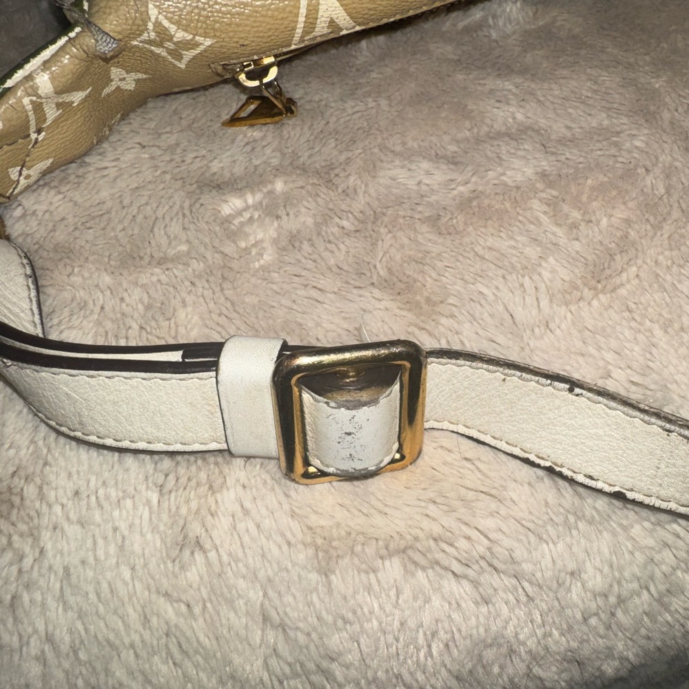 Louis Vuitton Giant Monogram Green and Cream Women's Bumbag - Picture 8 of 13